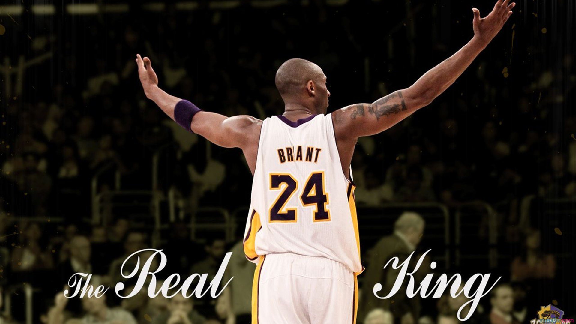 _全民篮球挑战：街头、社区同步火热_，全民篮球改成什么了