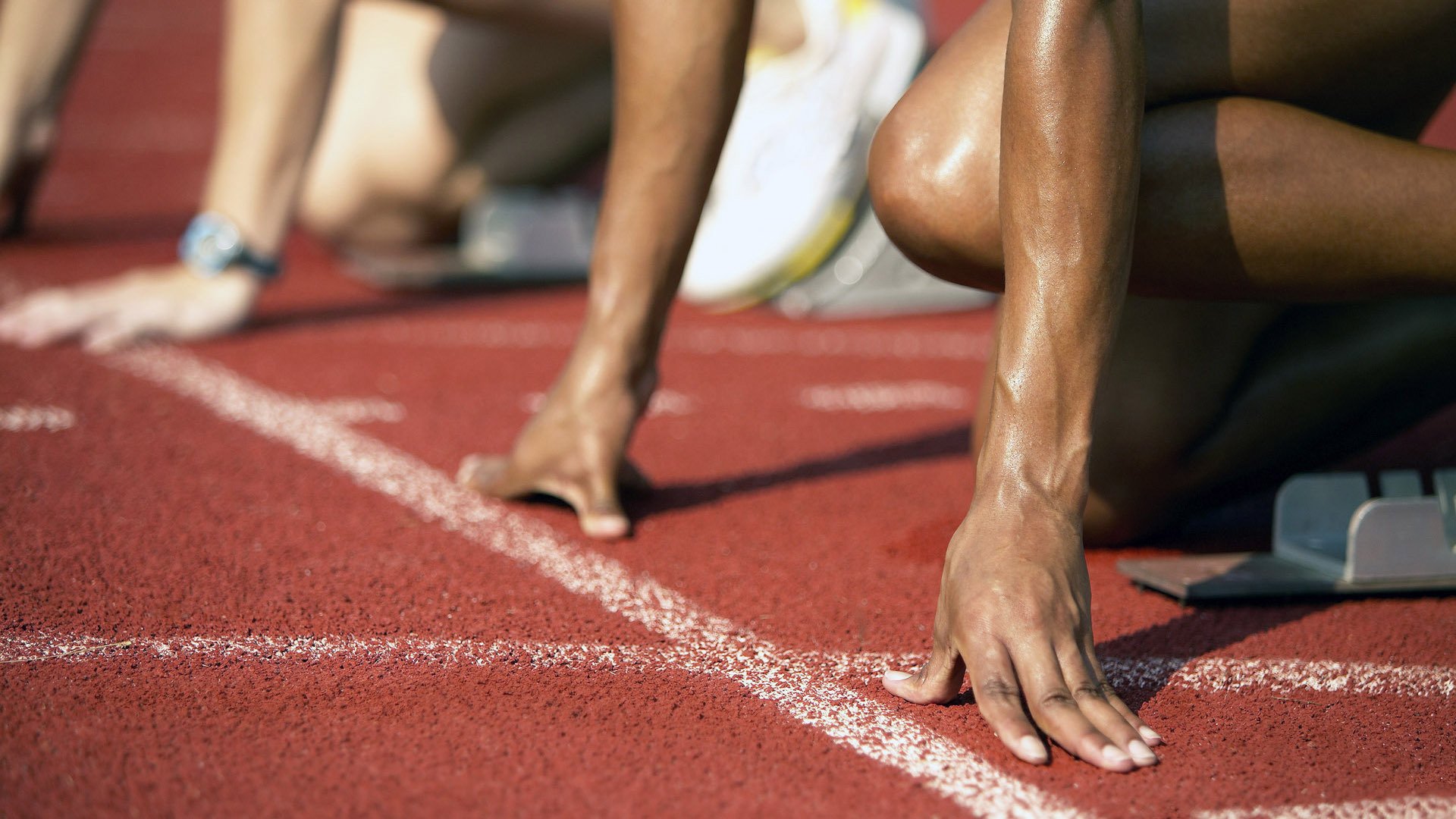 国际排球赛，激烈争夺胜利荣耀，国际排球大赛