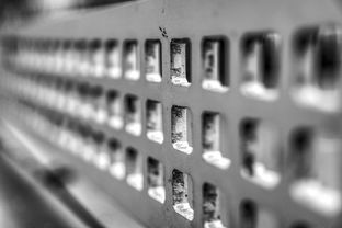 青少年运动损伤预防技术及实践研究，青少年运动损伤预防技术及实践研究论文